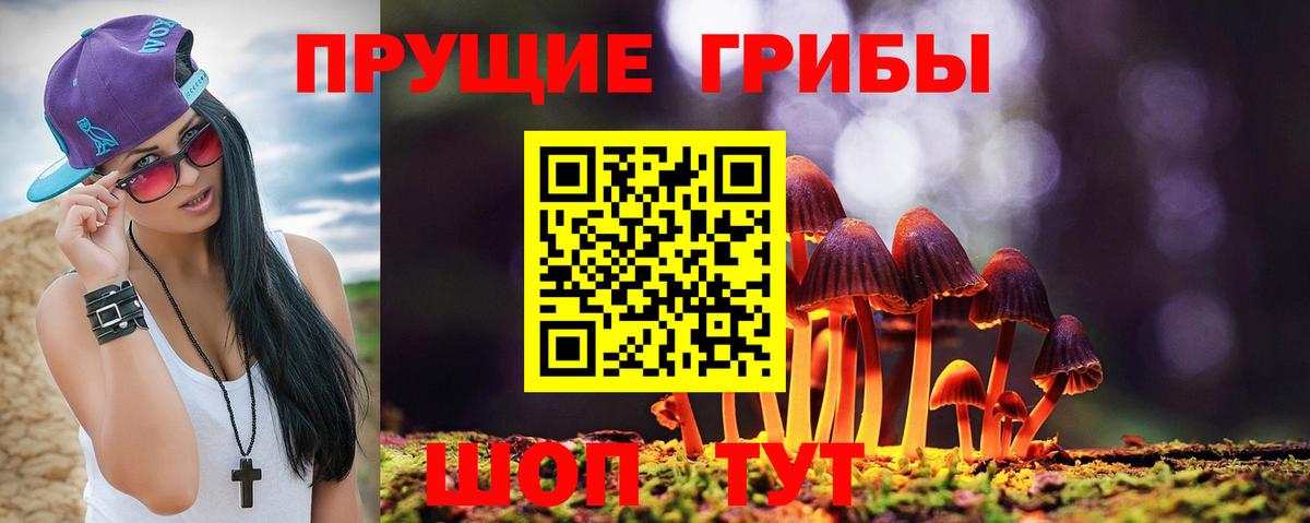 Галлюциногенные грибы мухоморы Десногорск