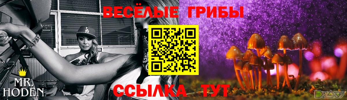Десногорск  Галлюциногенные грибы мицелий  Псилоцибиновые грибы мицелий  Вход с VPN 